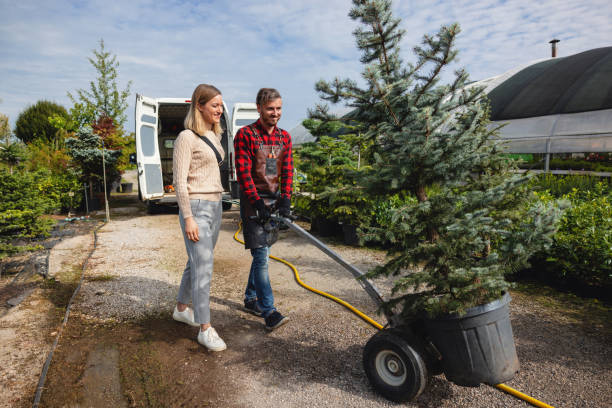 Best Palm Tree Trimming  in Adelanto, CA